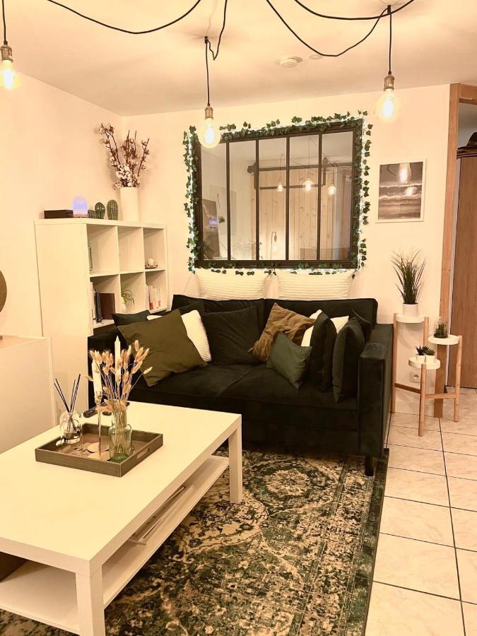Petit Cocon Au Coeur D'Annecy Apartment Luaran gambar