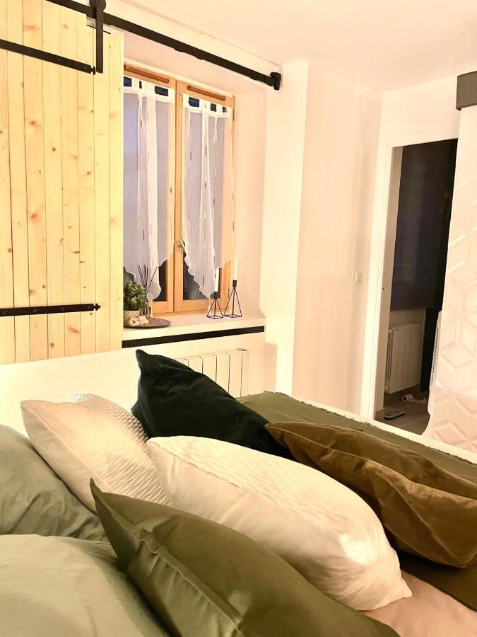 Petit Cocon Au Coeur D'Annecy Apartment Luaran gambar